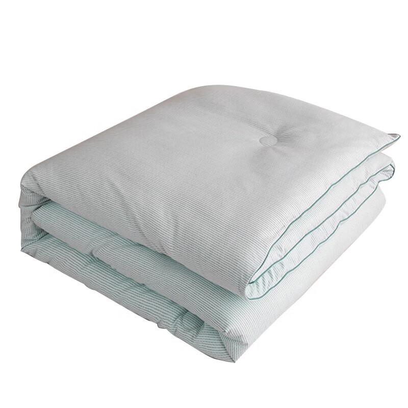 Muji Cationic Warm Core Quilt