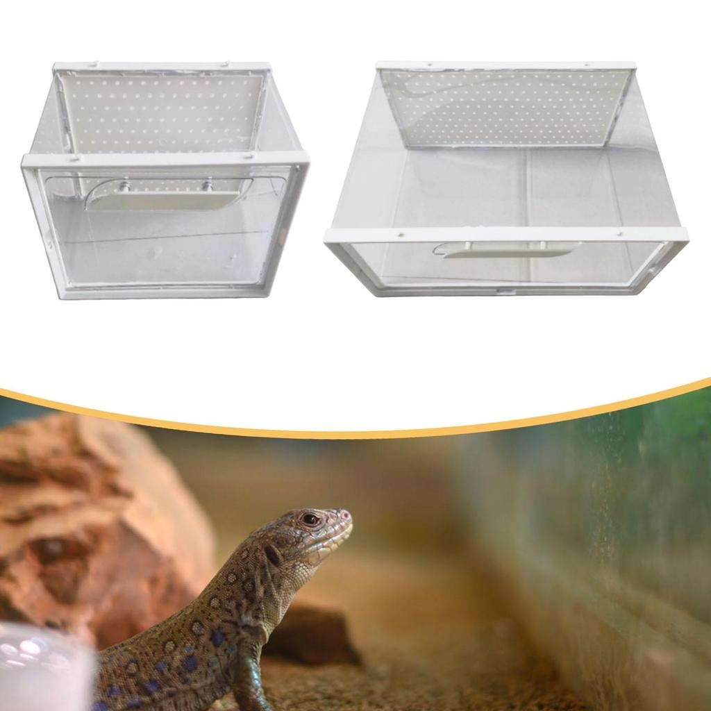 Reptile Terrarium Carrier Transparent Reptiles Cage,Reptile Breeding Box,for Crayfish