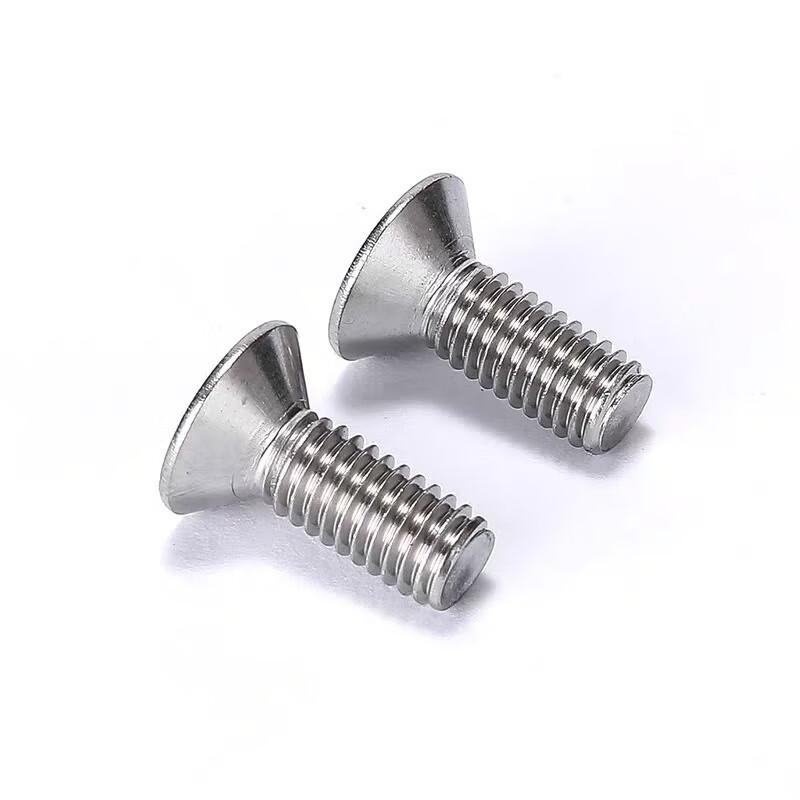 Stainless Steel Hex Socket Countersunk Head Screws