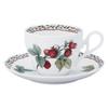 Noritake Orchard Garden Cup Saucer Both Coffee and Bone & (for Tea), 250cc, Microwave-Safe, China, T97887/4911