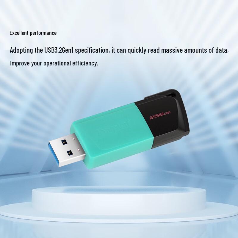 USB-накопитель Kingston DataTraveler DTXM USB 3.2 Gen 1 256GB