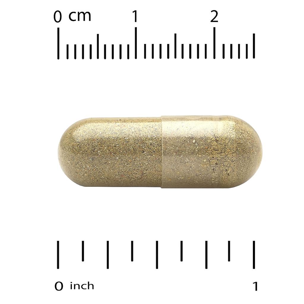 Euroherbs™, Lemon Balm Extract, Euromed Quality, 500Mg, 60 Veggie Caps