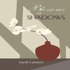 Blossoms and Shadows by Garth Lambert Paperback Book 9781450255592