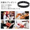 Titanium Germanium Bracelet for Men Magnetic Bracelet Hematite Classic Look Jewelry Black [HAQI]