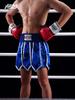 Boxing Ribbon Style Muay Thai Kickboxing Competition Shorts