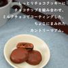 Limited Fujiya Country Maam Chocolate Covered Large Capacity BOX [EC Item] (500g)