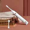 Paul Frank Jingyue DZH-G13 Sonic Electric Toothbrush
