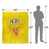 Sesame Street Head Big Bird Blanket