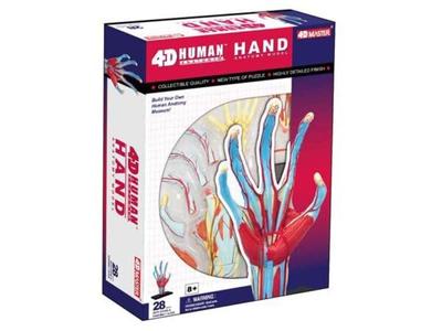 4D Human Anatomy Model Hand Puzzle 626009 by Fame a 4D Master Educational STEM Master, Toy.