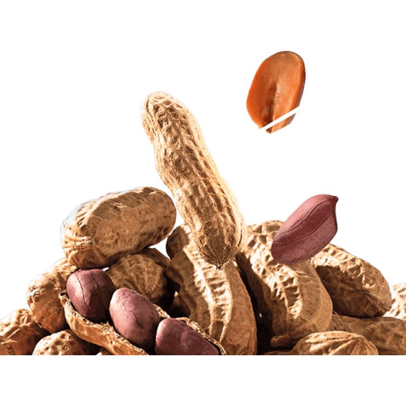 Xue Ji Roasted Peanuts