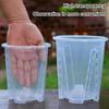 Transparent Orchid Plant Pot with Drainage Holes Phalaenopsis Flower Pot with Air Column Prevent Root Rot for Plants Seedlings