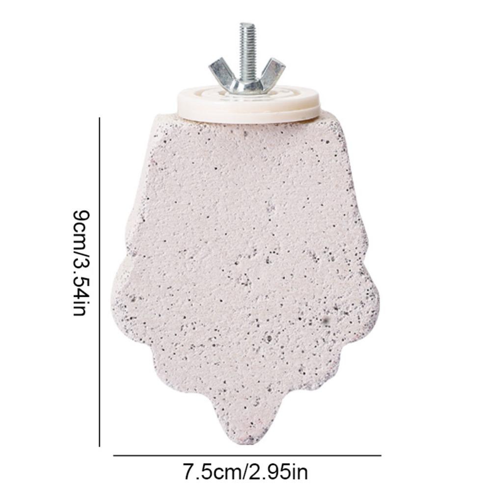 Pumice Parrot Stand Board Claw Grinding Tooth Grinding Bird Resting Platform Relieve Boredom Birdcage Accessories