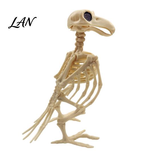 Creepy Halloween Party Props Animal Skeleton, Realistic Fish Bird Spider Snake Cat Skeleton Spooky Model for Party, Haunted House, Graveyard