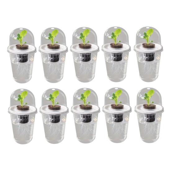 1/2/3/5/6/8/10Pcs Hydroponic Plants Growing Cup with Dome Transparent Plants Germination Pot Gardening Nursery Plants Starting Container