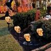 Horror Themed Yard Landscape Ornaments LED Solar Crow Skull Light, Waterproof Halloween Pathway Gothic Decorative Stakes for Flowerbeds on Skeleton