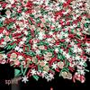 Christmas Polymer Clay Fruit Slices for DIY Nail Art and Crafts.