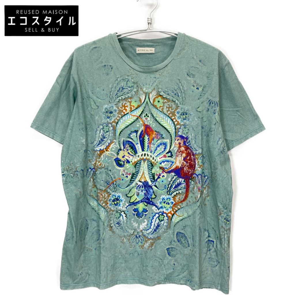 Etro Green Paisley T-shirt Tops XL greenUsed