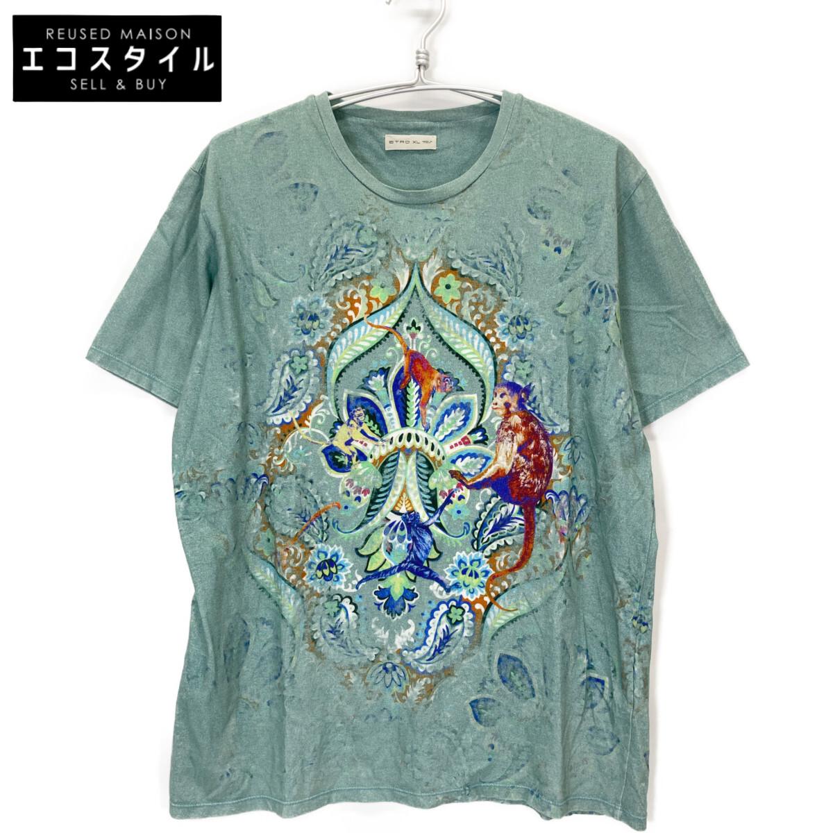 

ETRO Green Paisley T-shirt tops XL greenUsed