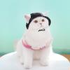 BOOTEELY Hot Selling Summer Pet Sun Hat Comfortable and Breathable Pet Bucker Hat for Dog