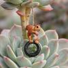 Waterproof Balcony Hanging Decor Squirrel On Tire Outdoor Ornament, Realistic Resin Figurine for Whimsical Tree Decoration Garden Patio Decoration,