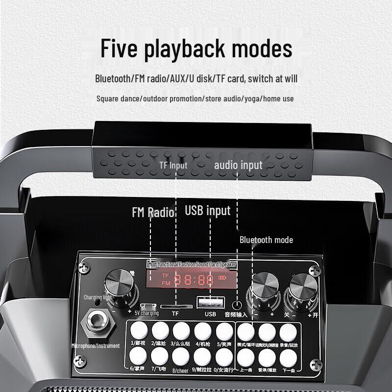 Newman K99 Portable KTV Bluetooth Speaker