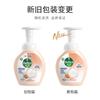 Dettol Antibacterial Foam Hand Soap - Grapefruit & Lime 2-Pack