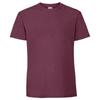 Fruit of the Loom Unisex Adult Iconic 195 T-Shirt