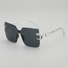 JYL TS Rimless Sunglasses With Leopard Head UV Protection Dopamine Style 114