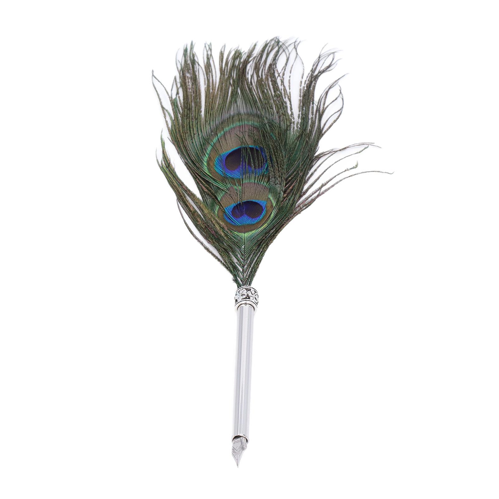 Quill Pen Set Double Peacock Feather Design Retro Style Metal Nib Calligraphy Pen with Empty Ink Bottle