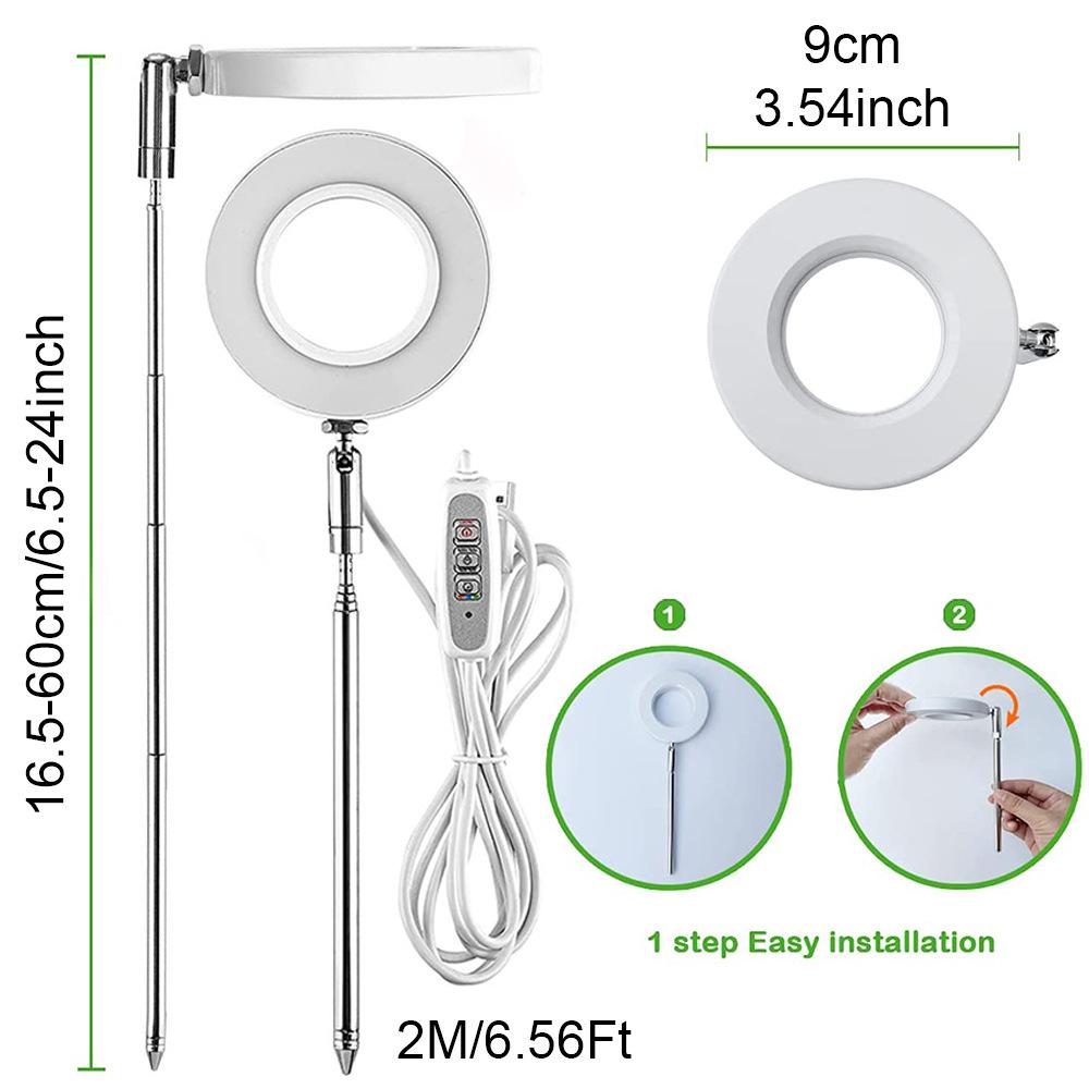 Indoor LED Angel Ring Grow Light for Plants and Succulents