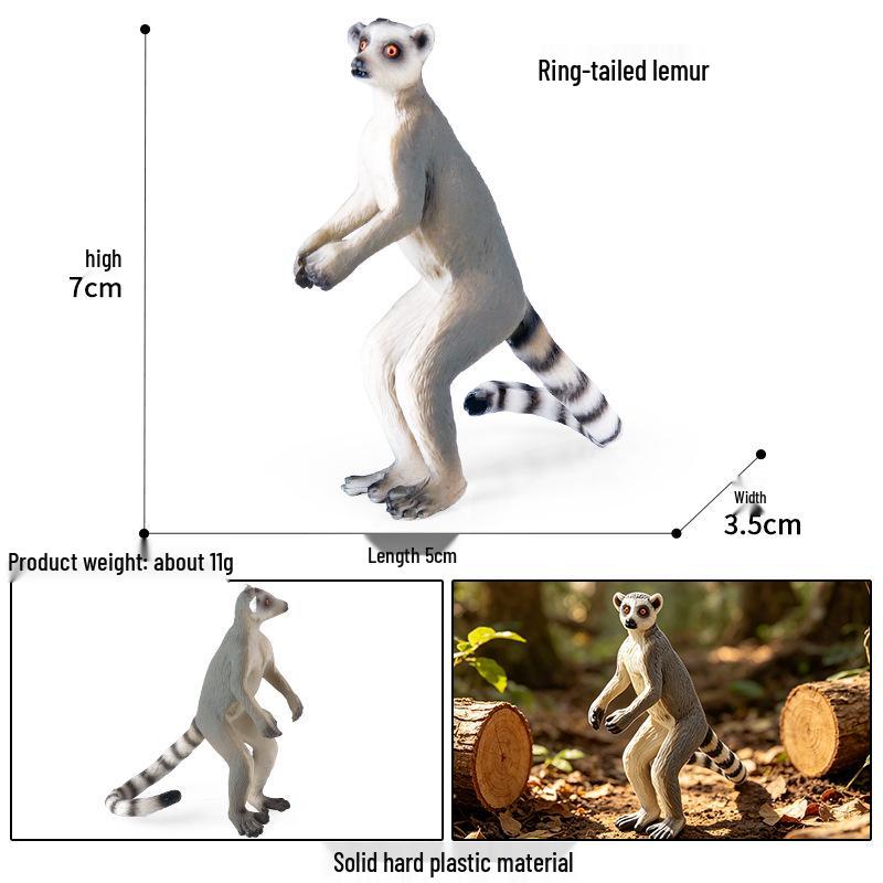 Realistic Animal Heart Model Toy: Lemur, Raccoon, Orangutan, Baboon