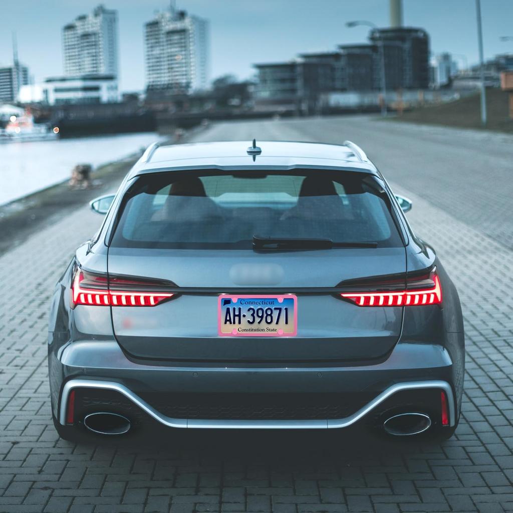 2PCS Colorful Car License Plate Frames With Gaskets Screws & Caps,Stainless Steel 4 Holes License Plate Holder Fits U.S. Standard,Universal Car