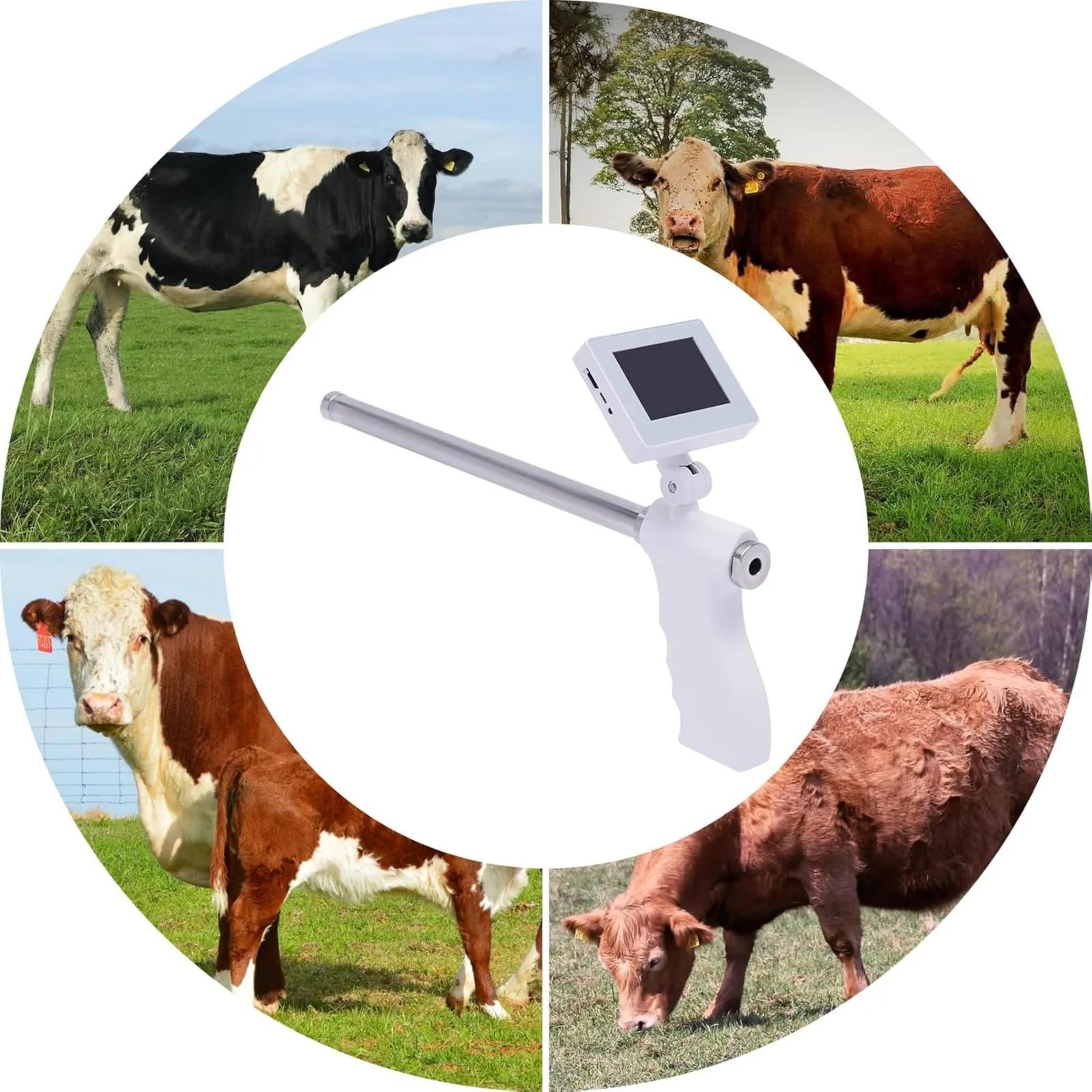 

Visual Insemination Gun Cows, Camels & Horses, Professional Veterinary Insemination Tool with Adjustable 3.5-inch LED Display, белый