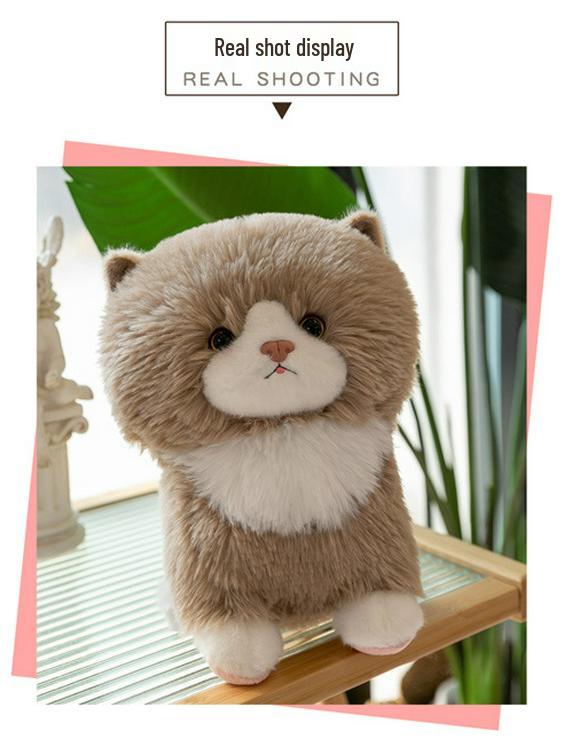 Adorable Short-Eared Cat Plush Toy - Soft Cuddly Doll for Kids and Cat Lovers