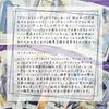 Instruction Manual Dreamscape Oracle Authentic Oracle Cards [Japanese Included]