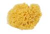 Bellini Natural Sea Sponge Honeycomb Yellow Medium Size