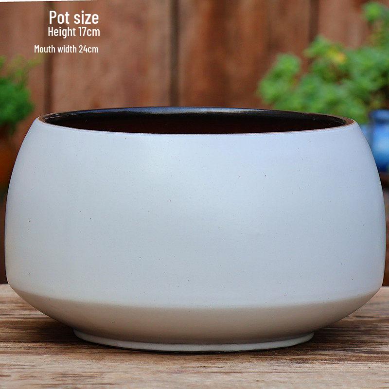 Large Coarse Pottery Green Planter: Ceramic Flower Pot for Succulents, Orchids, and Plants