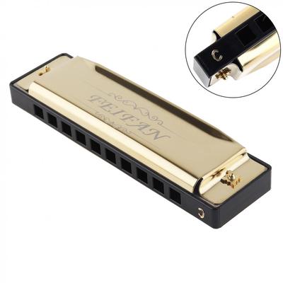10 Löcher 20 Töne Mattgold Mundharmonika Blues Harfe Mundharmonika Edelstahl Musikinstrument