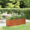 Raised Garden Beds Garden Raised Bed Rusty 160X40x45 Cm Corten Steel