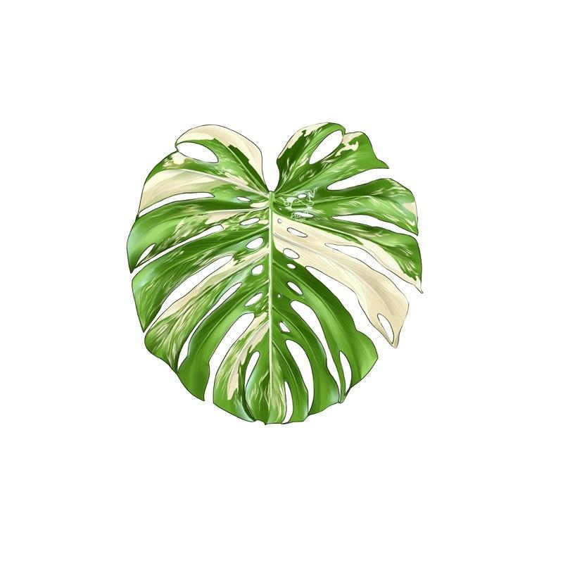 Acrylic Monstera Leaf Coaster Tropical Green Plant Cup Mats Anti-Slip Cup Holders Countertop Protector Kitchen Drink Coasters