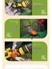 Assembled DIY Insect Building Block Toy Model 59083