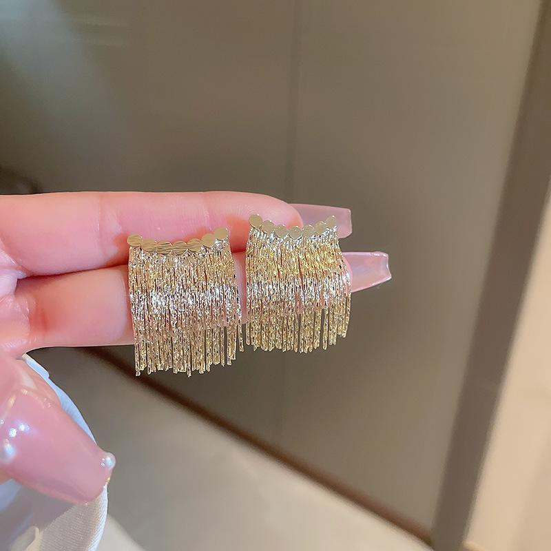 Silver Needle Metal Style Long Zircon Leaf Tassel Earrings Exquisite Fashion Earrings Cold Wind Light Luxury Temperament Earrings