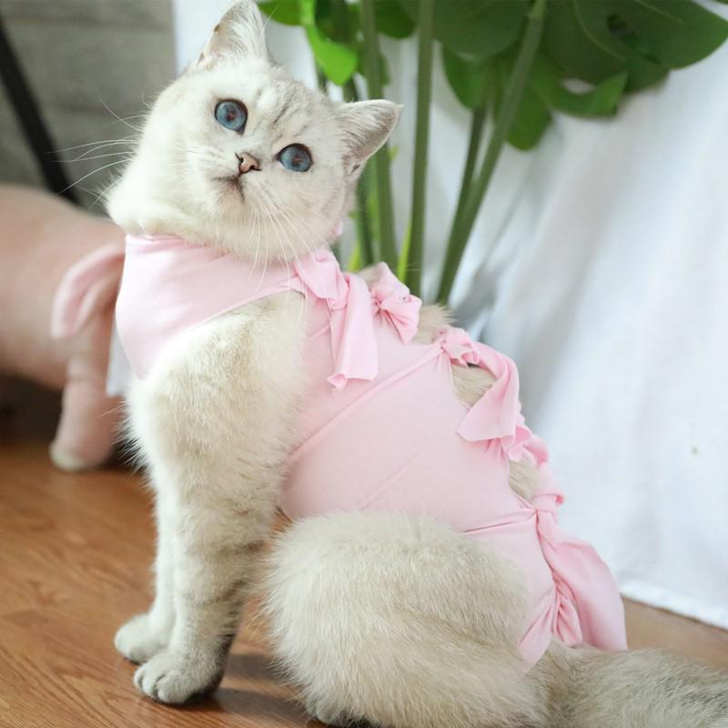 Breathable Cotton Summer Sterilization Suit for Female Cats - Surgical and Weaning Clothes