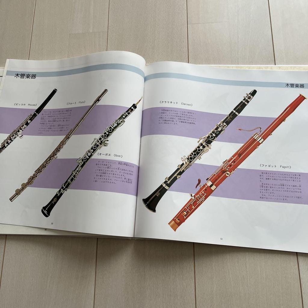 [USED] The childhood of the great composer Various instruments