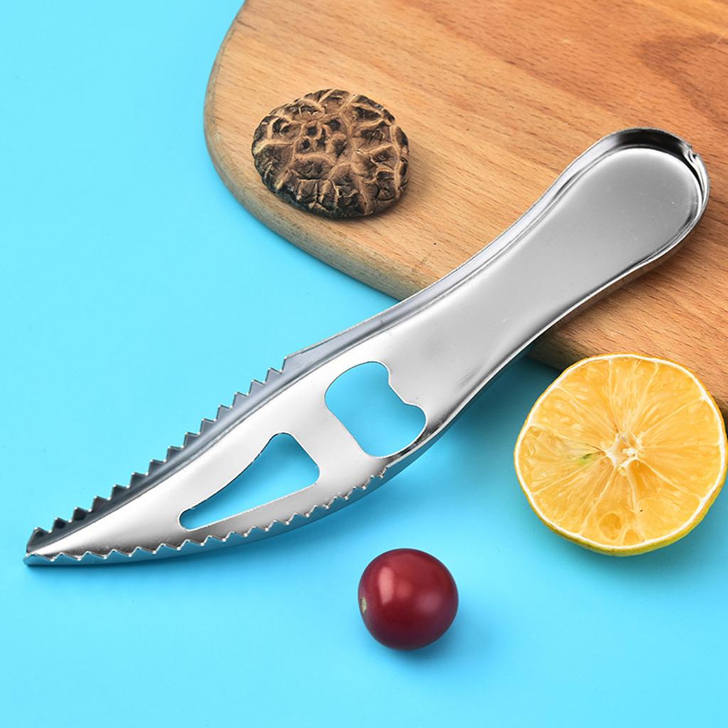 Stainless Steel Fish Scaler 430 Food Grade Heavy Duty Scraper For Kitchen Home Use
