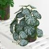 Artificial Amphibian Plants Terrarium Leaves Habitat Decor for Iguana for Turtle