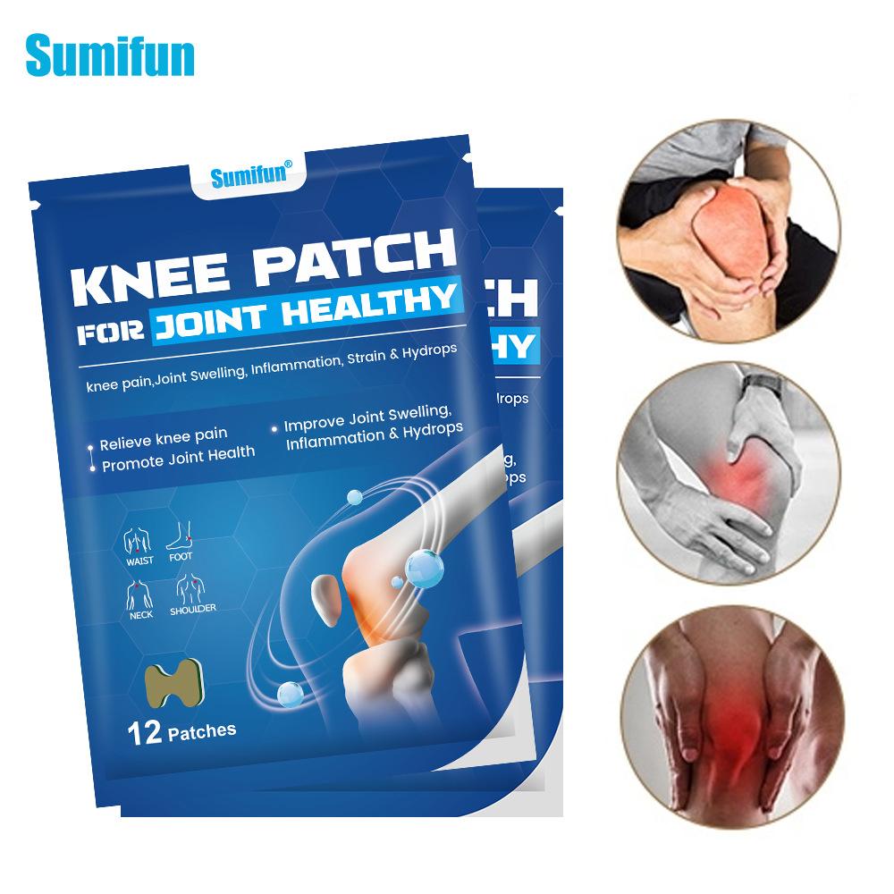 12 Stück/Wermut Kniepflaster Schmerzlinderungspflaster Pflaster Muskelgelenk Aufkleber