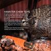10Pcs Hamster Chew Sticks   Branches and Paper Rope Woven Wooden Hamster Bite Toys for   Hamster Chinchilla