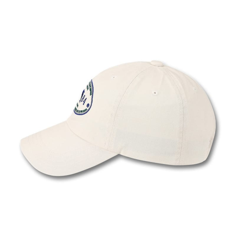 DOLPHIN WAVE APPAREL Oval Dolphin Ball Cap_123823IV