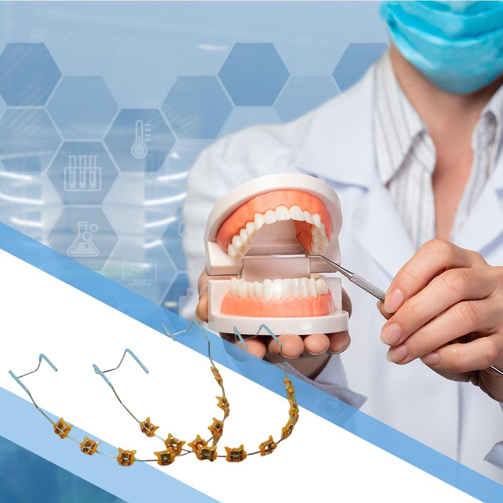 2Pcs Colored Dental Decor Braces with Storage Box Orthodontic Metal Wires Bracket Cartoon Pattern for Daily Tooth Protect